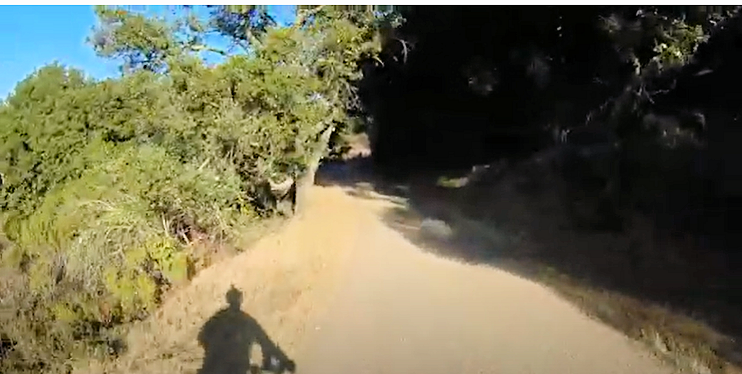 rider on trail